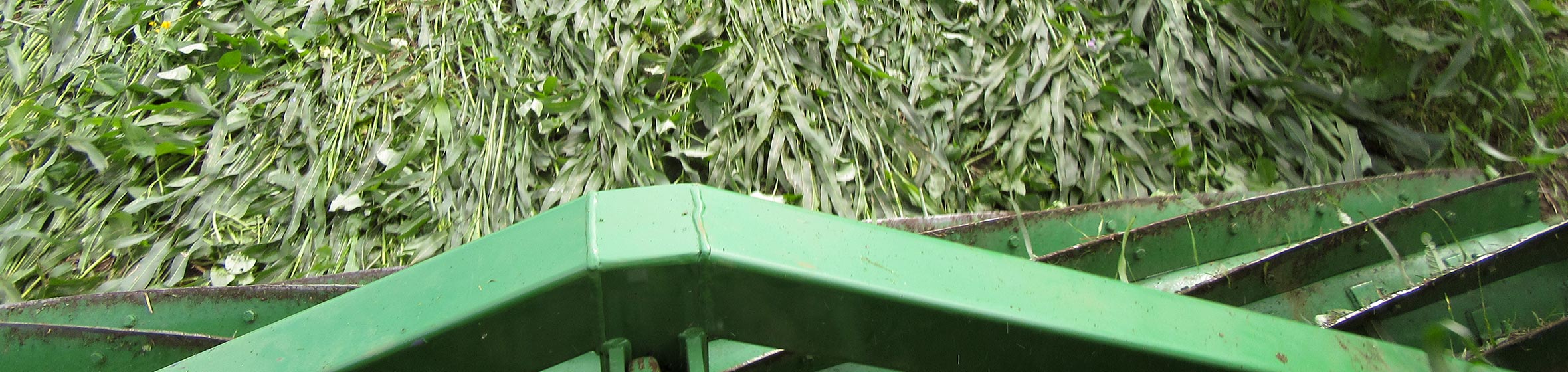 Auscrimper crimper roller in action on crop