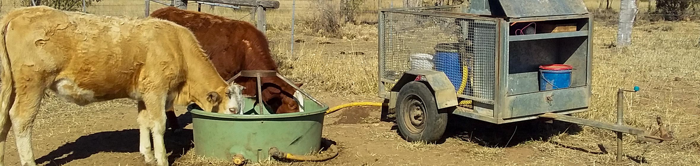 Livestock Water Medicator